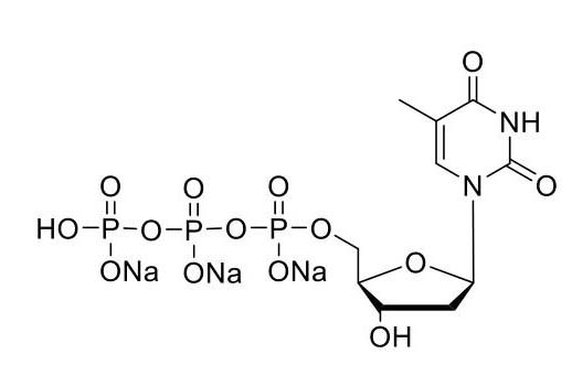 UltraPure dTTP (100mM)