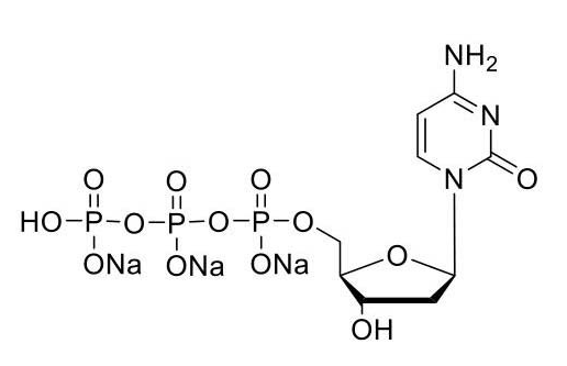 UltraPure dCTP (100mM)