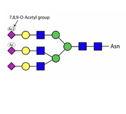 Sialate O-acetylesterase kit